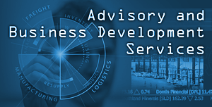 Advisory and Business Development Services