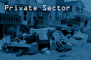 Private Sector