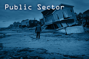 Public Sector